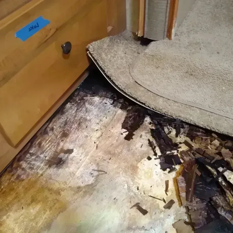 Wood Floor Water Damage in Clear Lake Riviera, CA